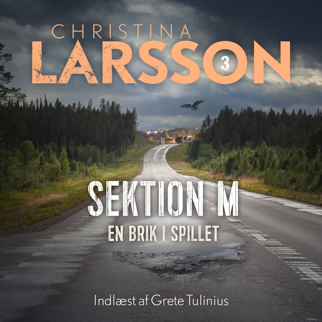 Christina Larsson - Sektion M III