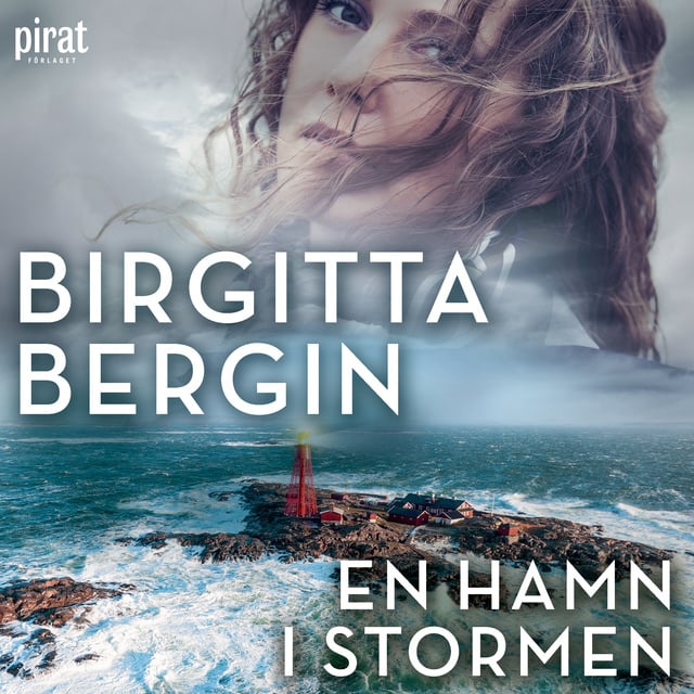 Birgitta Bergin - En hamn i stormen