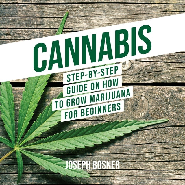 Cannabis for Beginners
