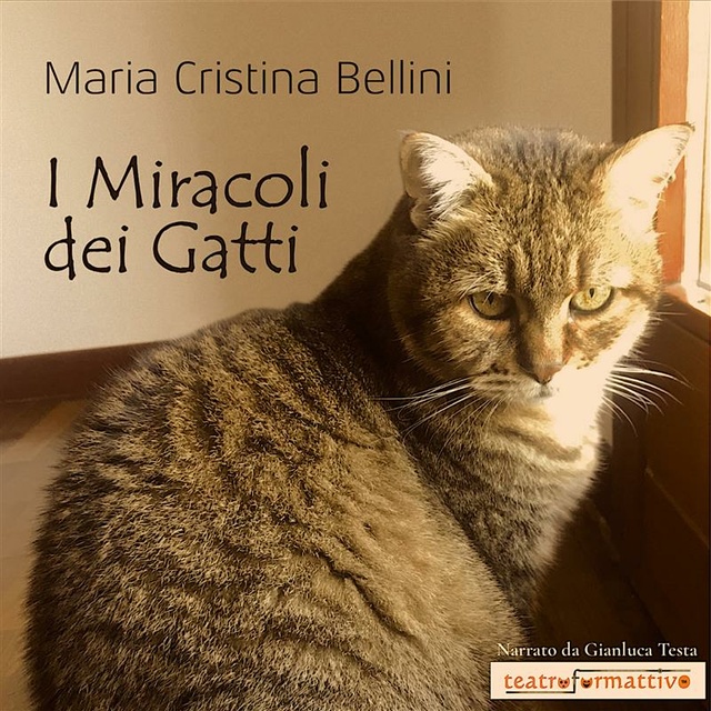Maria Cristina Bellini - I miracoli dei gatti