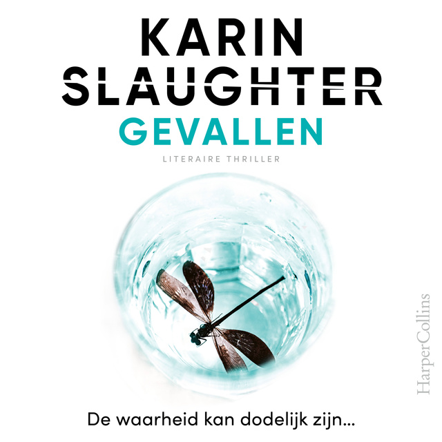 Karin Slaughter - Gevallen: De waarheid kan dodelijk zijn...