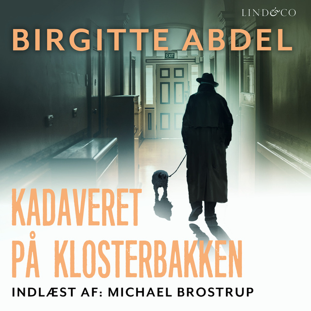 Birgitte Abdel - Kadaveret på Klosterbakken