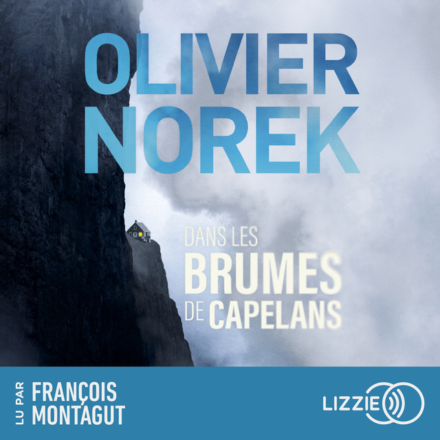 Olivier Norek - Dans les brumes de Capelans