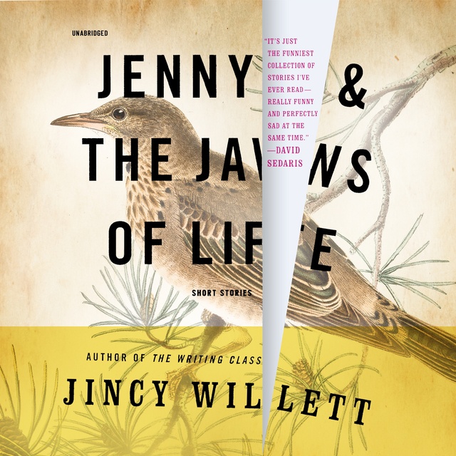 Jenny and the Jaws of Life: Short Stories - Audiobook - Jincy Willett -  Storytel