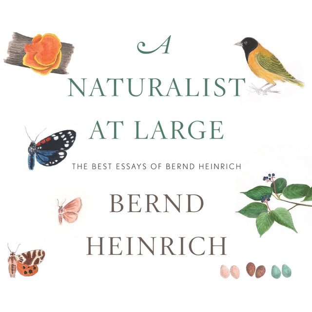 Bernd Heinrich - A Naturalist at Large: The Best Essays of Bernd Heinrich