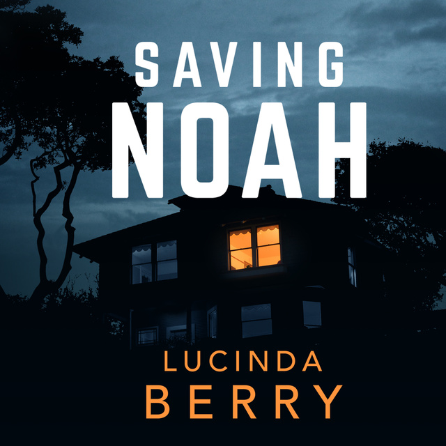 Lucinda Berry - Saving Noah