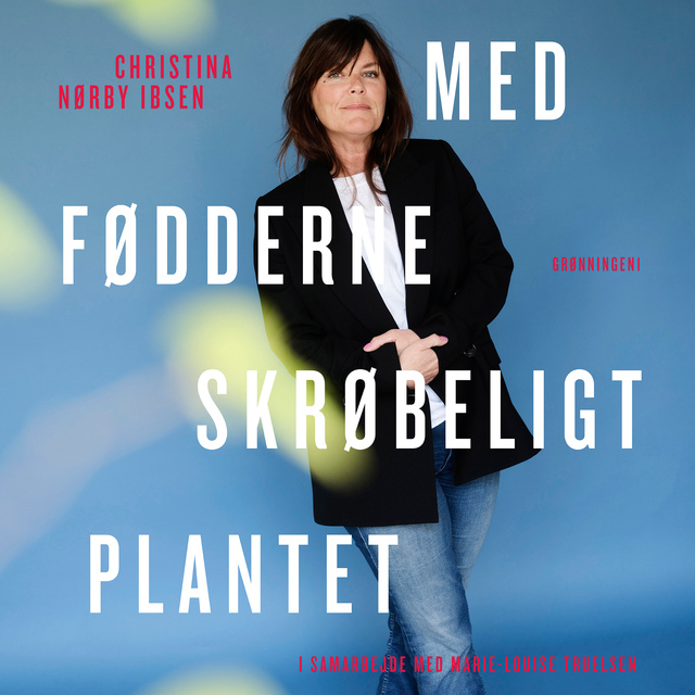 Christina Nørby Ibsen - Med fødderne skrøbeligt plantet: rejs dig efter skilsmissen