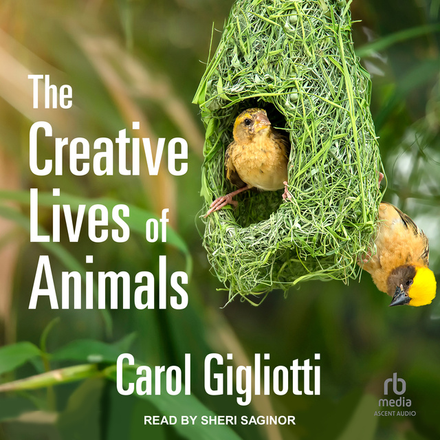 Carol Gigliotti - The Creative Lives of Animals