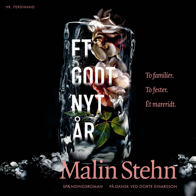 Malin Stehn - Et godt nyt år