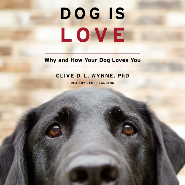 Clive D. L. Wynne - Dog Is Love: Why and How Your Dog Loves You