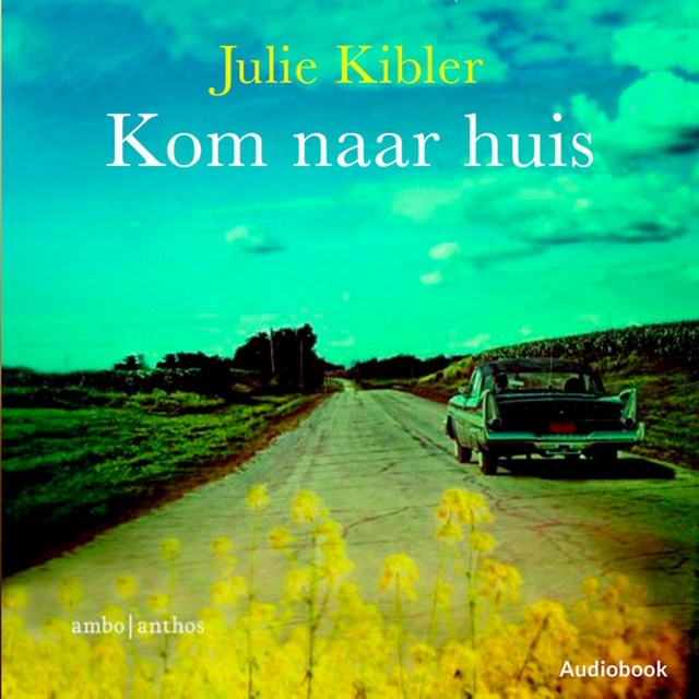 Julie Kibler - Kom naar huis