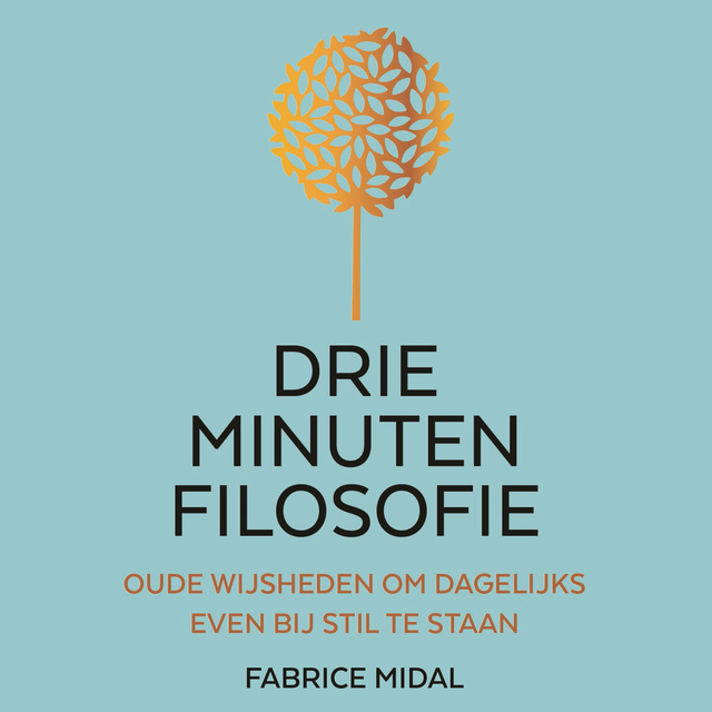 Fabrice Midal - Drie minuten filosofie: Oude wijsheden om dagelijks even bij stil te staan