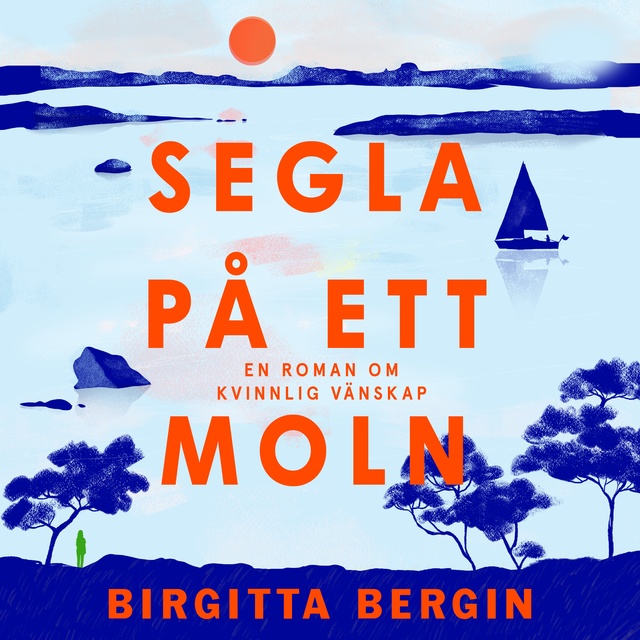 Segla på ett moln
                    Birgitta Bergin