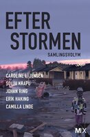Efter stormen : utökad samlingsvolym - Caroline L. Jensen, Johan Ring, Solja Krapu, Erik Haking, Camilla Linde