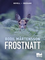 Frostnatt - Bodil Mårtensson