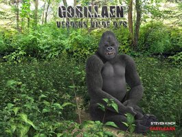 Gorillaen - Steven Kinch
