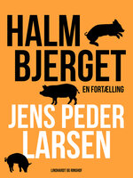 Halmbjerget: En fortælling - Jens Peder Larsen