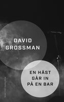 En häst går in på en bar - David Grossman