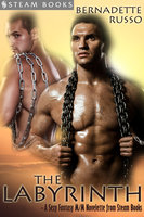The Labyrinth - A Sexy Fantasy M/M Novelette from Steam Books - Steam Books, Bernadette Russo