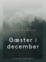 Gæster i december - Aase Hansen