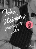 Missnöjets vinter - John Steinbeck