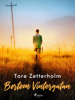 Bortom Vintergatan - Tore Zetterholm