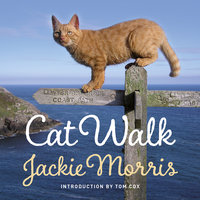 Cat Walk - Tom Cox, Jackie Morris