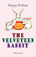 The Velveteen Rabbit (Illustrated) - Margery Williams
