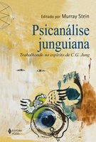 Psicanálise Junguiana: Trabalhando no espírito de C. G. Jung - Murray Stein