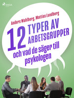 12 typer av arbetsgrupper - och vad de säger till psykologen - Anders Wahlberg, Mattias Lundberg