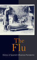 The Flu: History of Spanish Influenza Pandemic: How the World Reacted to the 1918 Spanish Flu Pandemic in USA and Europe - Arthur Albert St. Mouritz