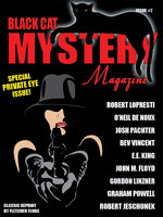 Black Cat Mystery Magazine 7: Special Private Eye Issue - Michael Bracken, Robert Lopresti