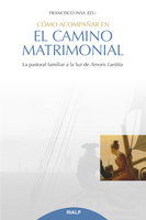 Cómo acompañar en el camino matrimonial: La pastoral familiar a la luz de Amoris Laetitia - Francisco Javier Insa Gómez