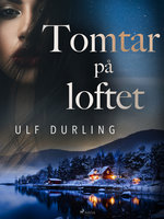 Tomtar på loftet - Ulf Durling