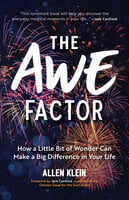 The Awe Factor: How a Little Bit of Wonder Can Make a Big Difference in Your Life - Allen Klein