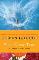 Wish Come True - Eileen Goudge