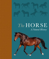 The Horse - Debbie Busby, Catrin Rutland