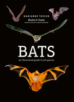Bats: An illustrated guide to all species - Marianne Taylor