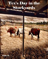 Tex's Day at the Stock Yards: Old West Style - Emily M.