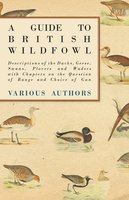 A Guide to British Wildfowl - Descriptions of the Ducks, Geese, Swans, Plovers and Waders with Chapters on the Question of Range and Choice of Gun - Various