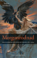 Morgonrodnad: Socialismens stil och mytologi 1871-1914