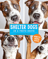 Shelter Dogs in a Photo Booth - Guinnevere Shuster