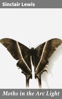 Moths in the Arc Light - Sinclair Lewis