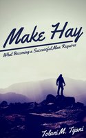 Make Hay: What Becoming a Successful Man Requires - Tolani M. Tijani