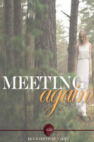 Meeting Again - Elyzabeth M. VaLey
