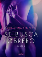 Se busca obrero - parte 1 - Christina Tempest