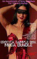 Erotica Sample Box Mega Bundle: 13 Stories - Jennifer Lynne