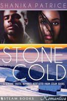 Stone Cold - A Sensual Erotic Romance Novelette from Steam Books - Shanika Patrice, Steam Books