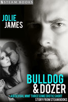 Bulldog & Dozer - A Bisexual MMF Threesome Erotic Short Story from Steam Books - Steam Books, Jolie James