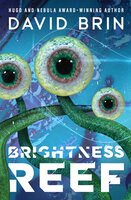 Brightness Reef - David Brin